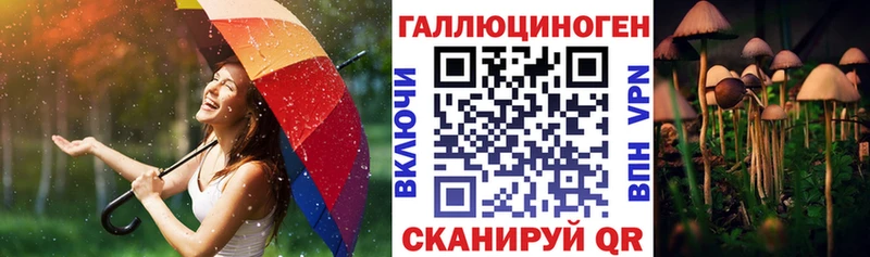 Псилоцибиновые грибы мицелий дарнет шоп Горячий Ключ